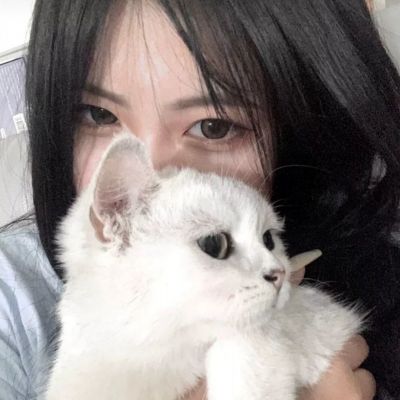 剑乱风云内购破解版下载