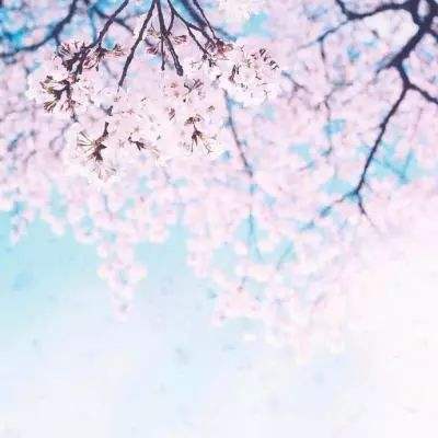 海洋世界vr手机版下载
